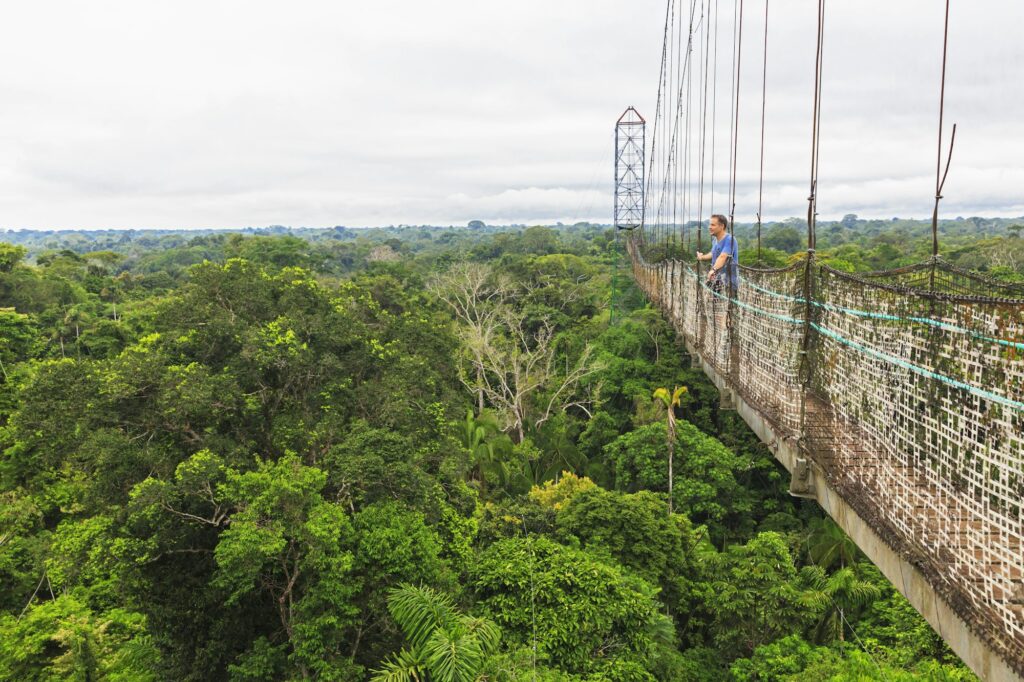 Ecuador, Amazon River region, tourist on suspension bridge above rain forest