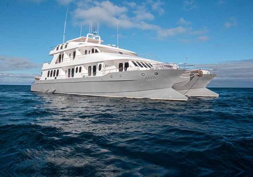 alya-luxury-catamaran